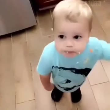 First Bitcoin then alt coins