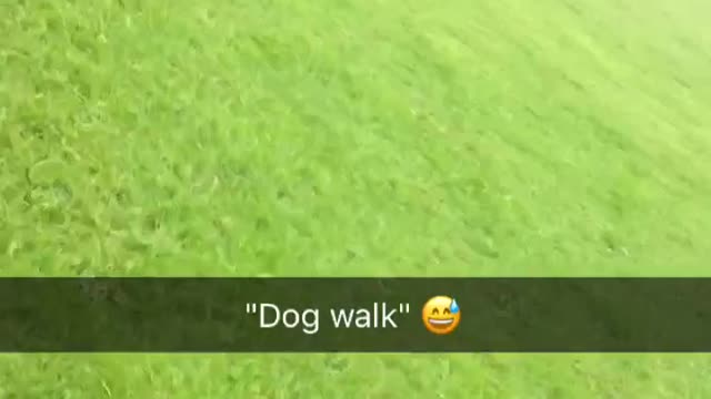 Going out for a "dog walk"