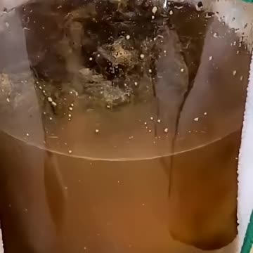 Let's Make Some Dandelion Mead!!