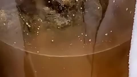 Let's Make Some Dandelion Mead!!