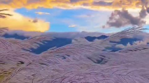 Beautiful View