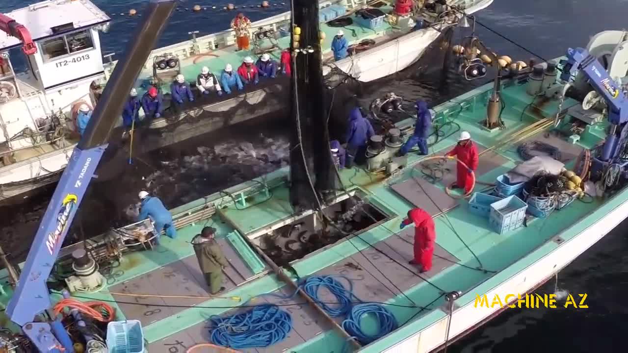 Amazing Big Tuna Catch Vessel On The Sea Big Net Fishing Skill