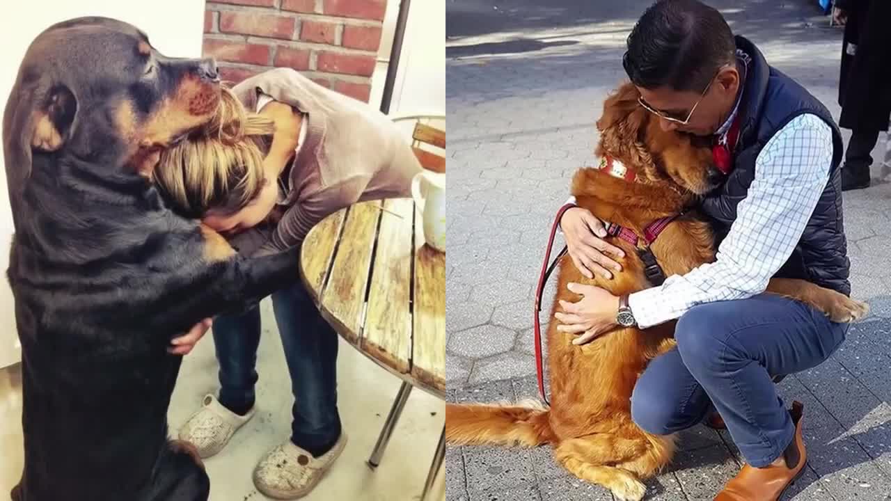 Dogs will be human best friend