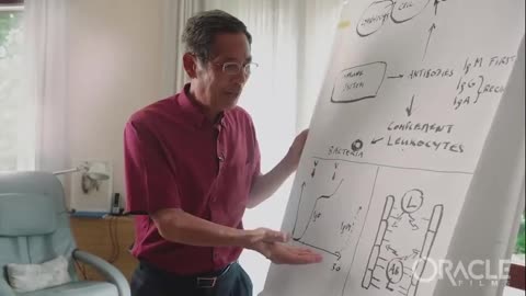 דר סוכרית בהקדי איך חלבון ספייק פועל אחרי החיסון וגורם לתאים לתקוף את עצמם ולמה זה מסוכן