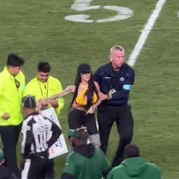 Woman storms field at Pittsburgh Steelers game