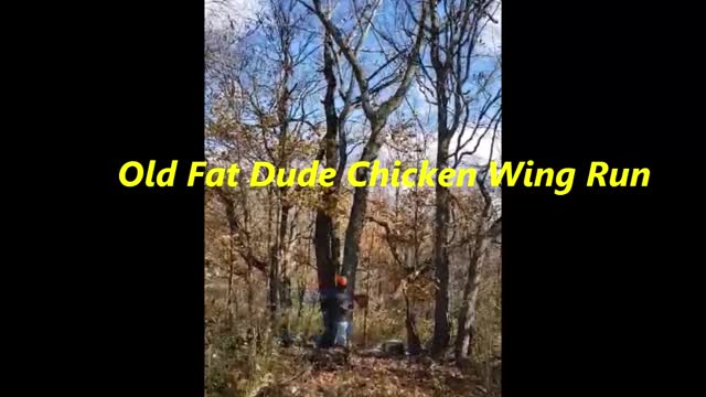 Big Azz Ash Tree, Complex Felling On Hedgerow Tree & Some Other Stuff