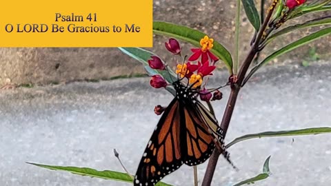 Psalm 41 - ESV Audio