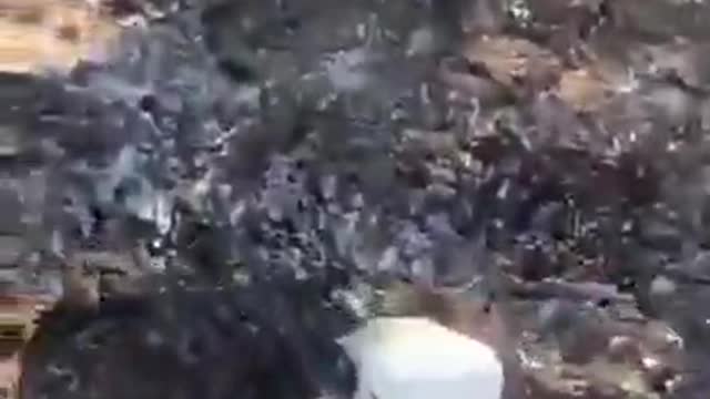 Ukrainian armed forces destroys many russian equipment (2)