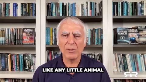 Report on the fall of the Royals