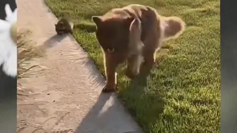 Friends for all