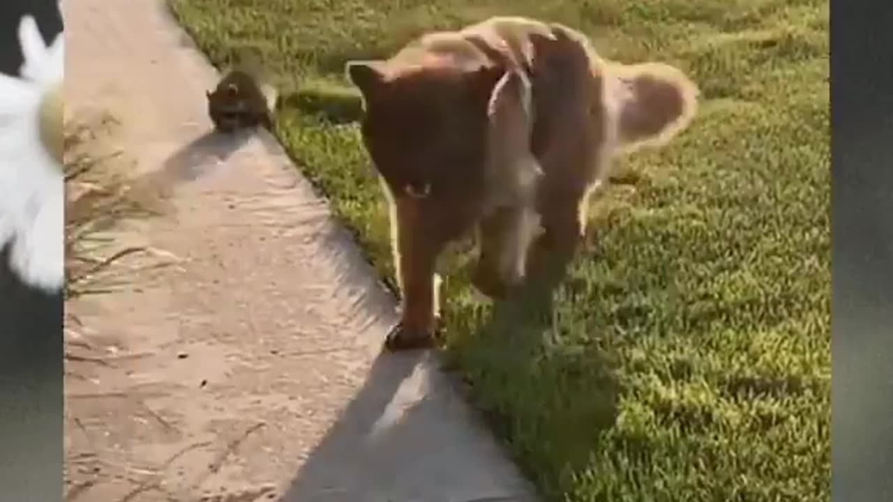 Friends for all