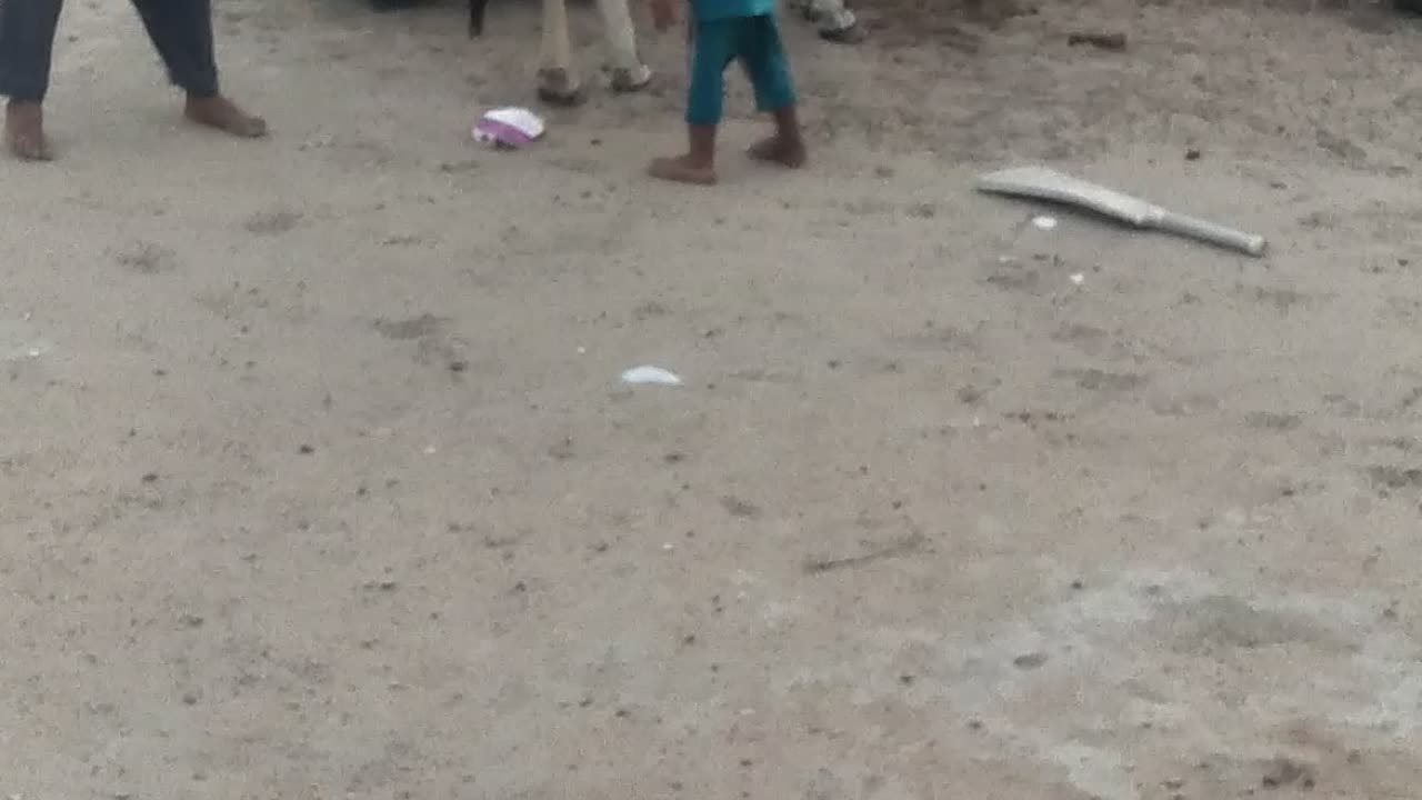 Shayan Habib and Hasnain Habib playing with cow