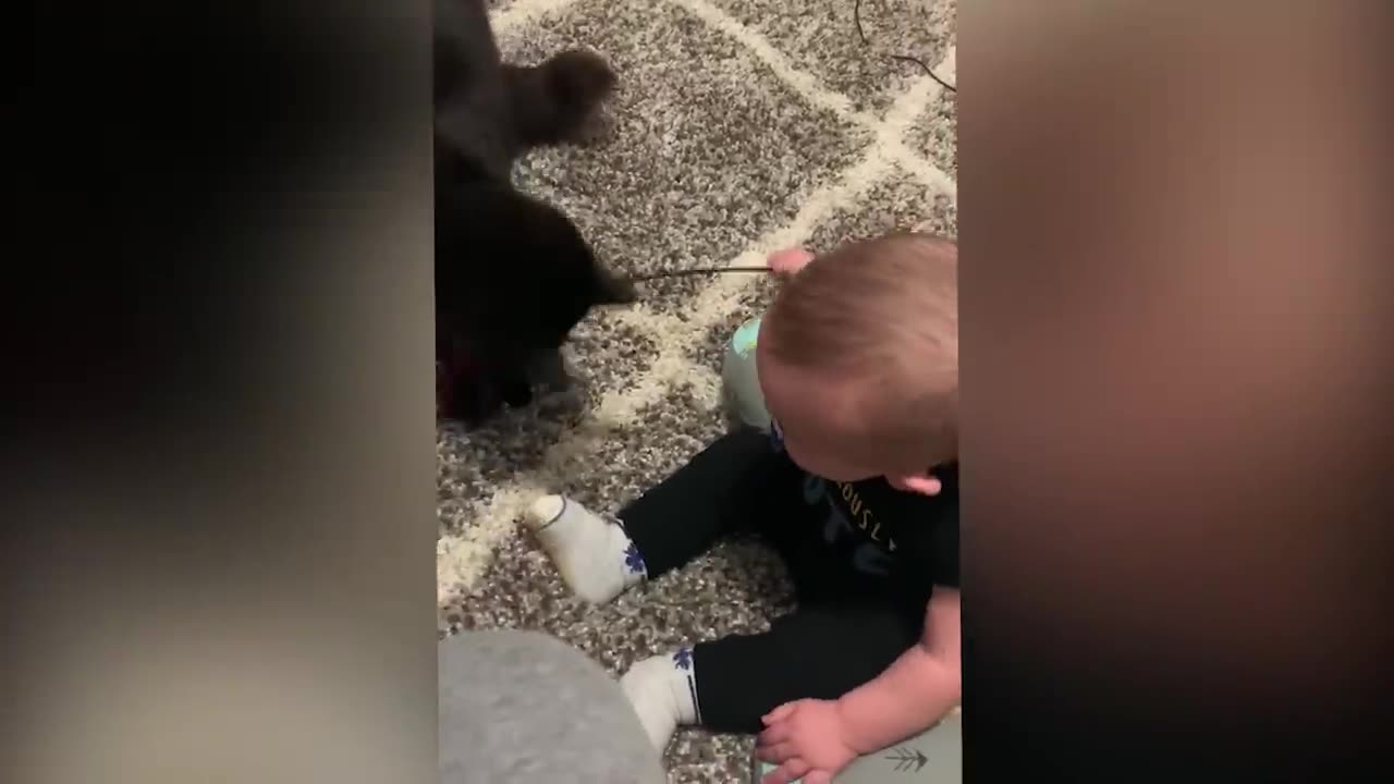 Cutest Babies Play With Dogs And Cats Compilation