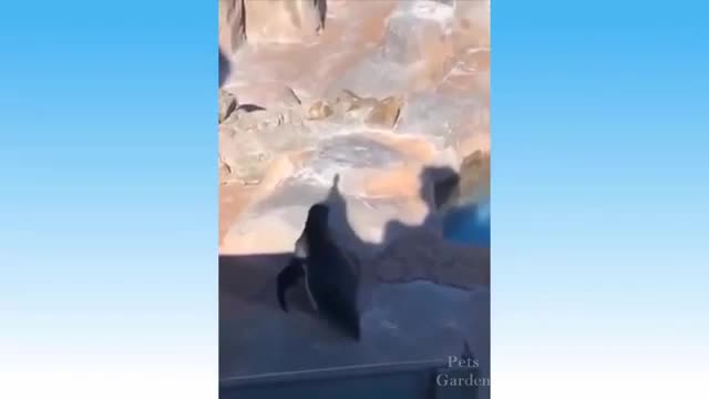 https://youtu.be/bf2ASh5vS-s
