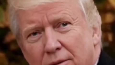 Whole Lotta Trump