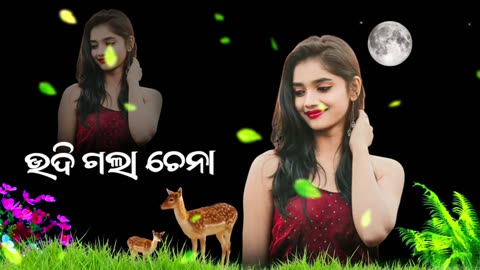 Manar maina new odia trending song