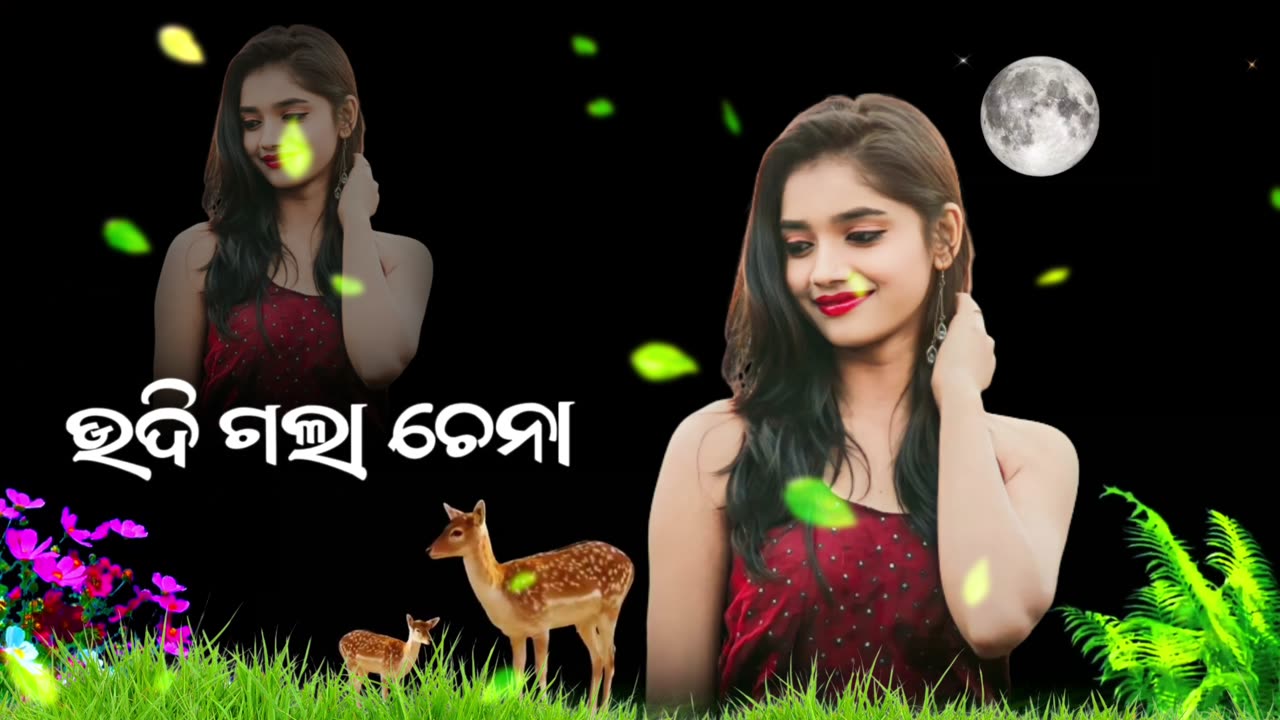 Manar maina new odia trending song