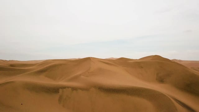 Beautiful desert with golden sand