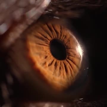 Avoiding Porn_ Protecting Our Energy Source