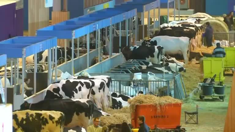 Paris shows off cash cows at agricultural show