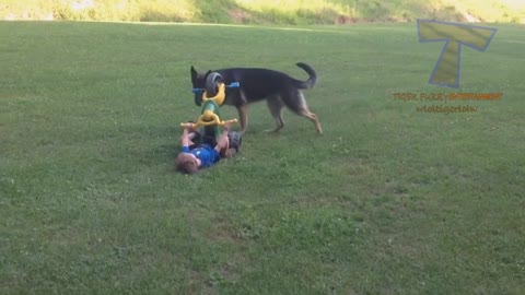 Cute Babies Play With Dogs