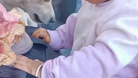 beautifully dog love for the cute cmall baby