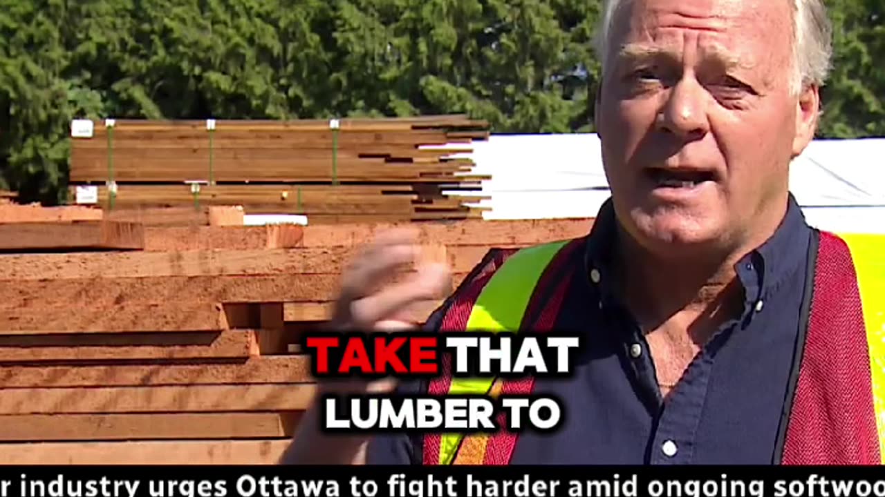 US Duties To Hurt Lumber Industry