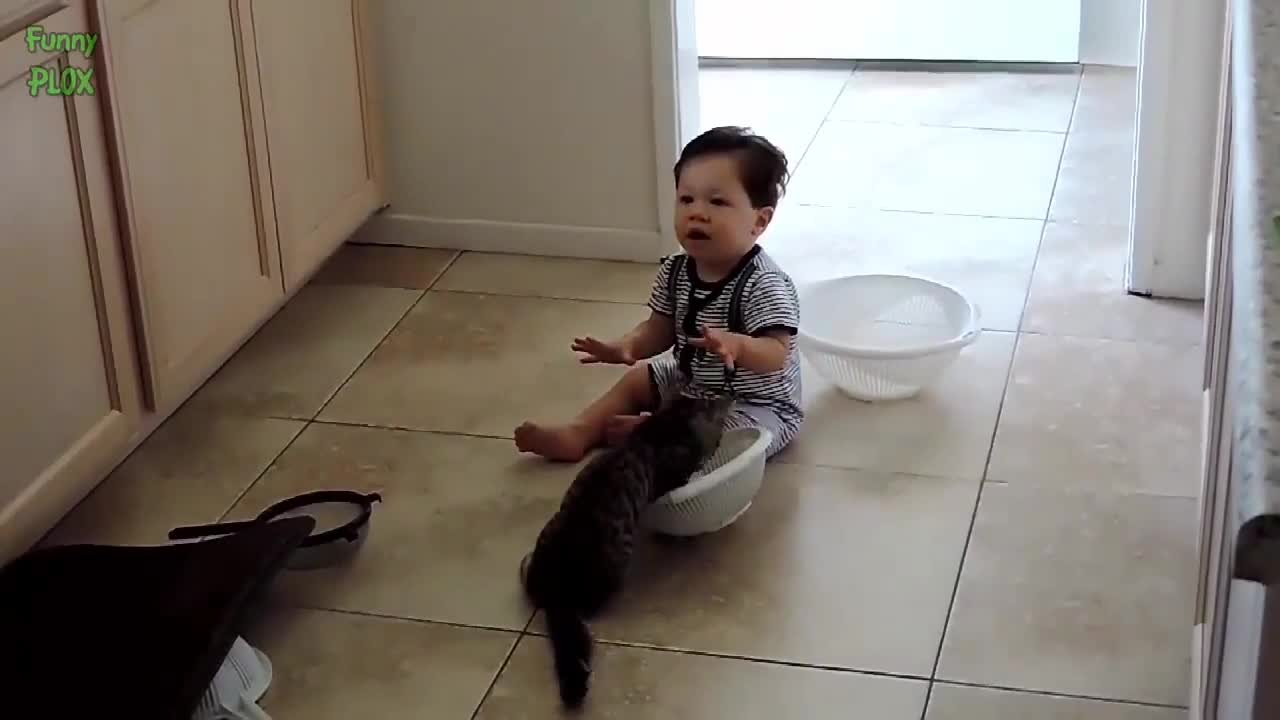 Funny video baby and cat