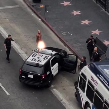 Naked man dances atop LAPD cruiser. (Hollywood)