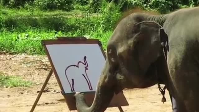 This elephant is painting. It looks really amazing