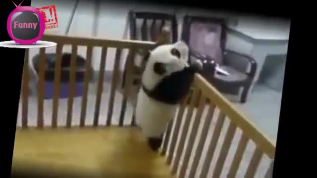 Pandas bebe jugando