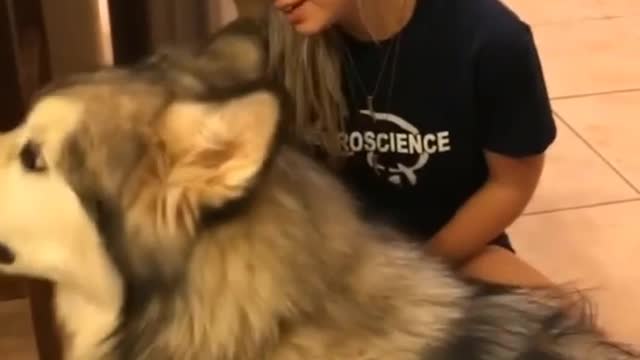 He is love me Questions for Dog cute 😘😂