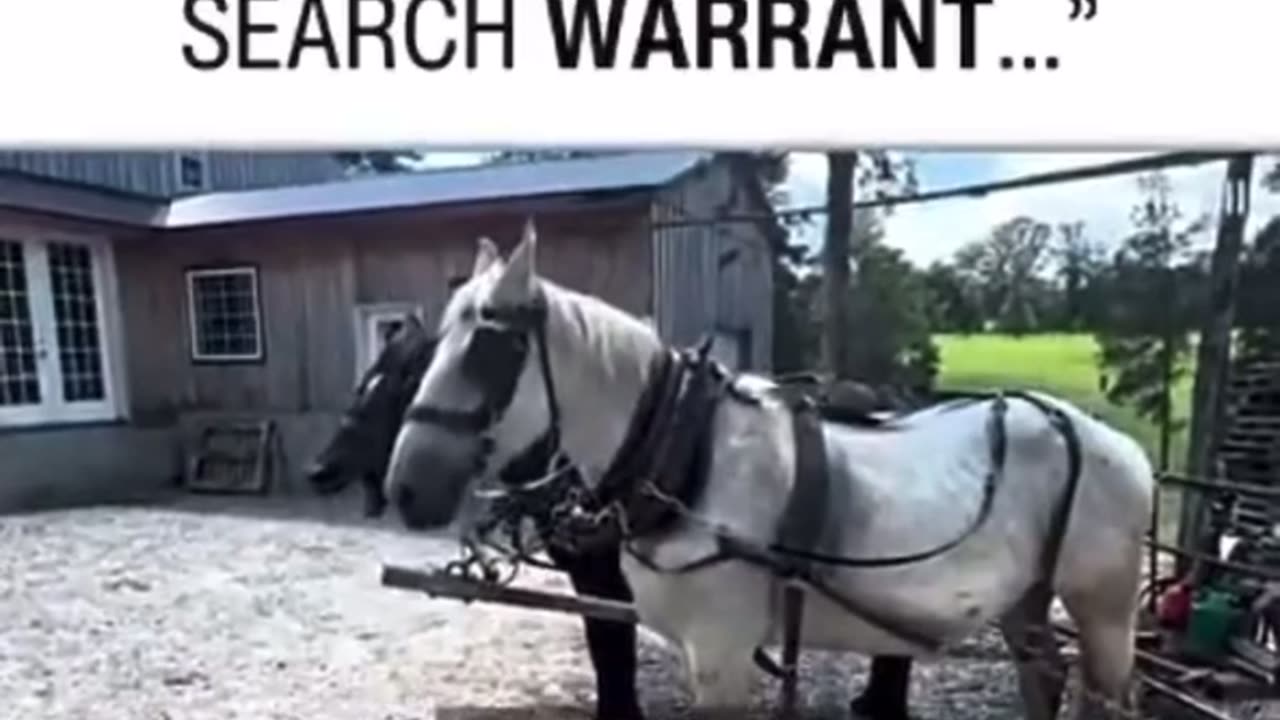 Your government