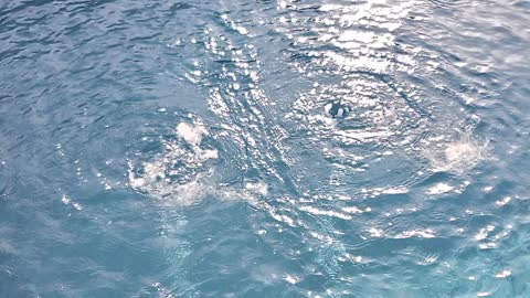 Dry ice in pool
