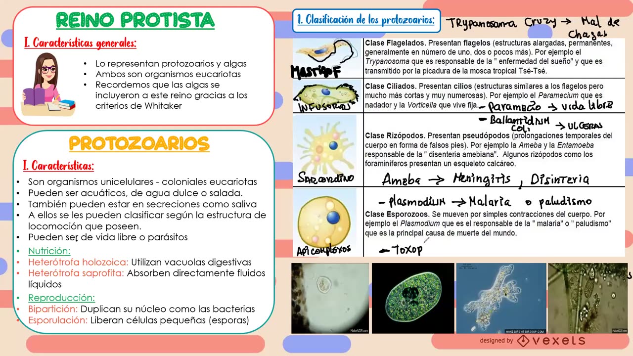 PAMER SEMESTRAL ESCOLAR 2022 | Semana 07 | Biología