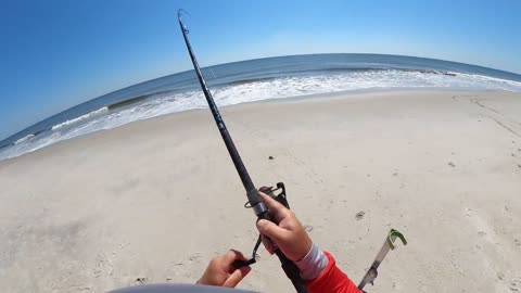 Beach Fishing Shark Fest