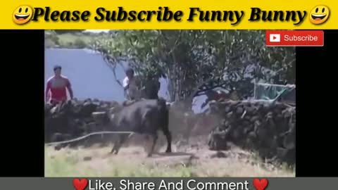 Best funny videos Most awesome