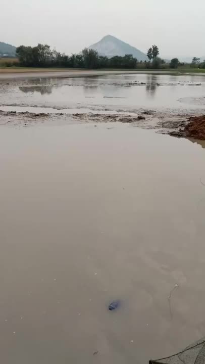 I cant believe it got away!