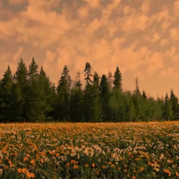 048 In numerology, Life Path 40 slash 4 is the blueprint for building a solid foundation