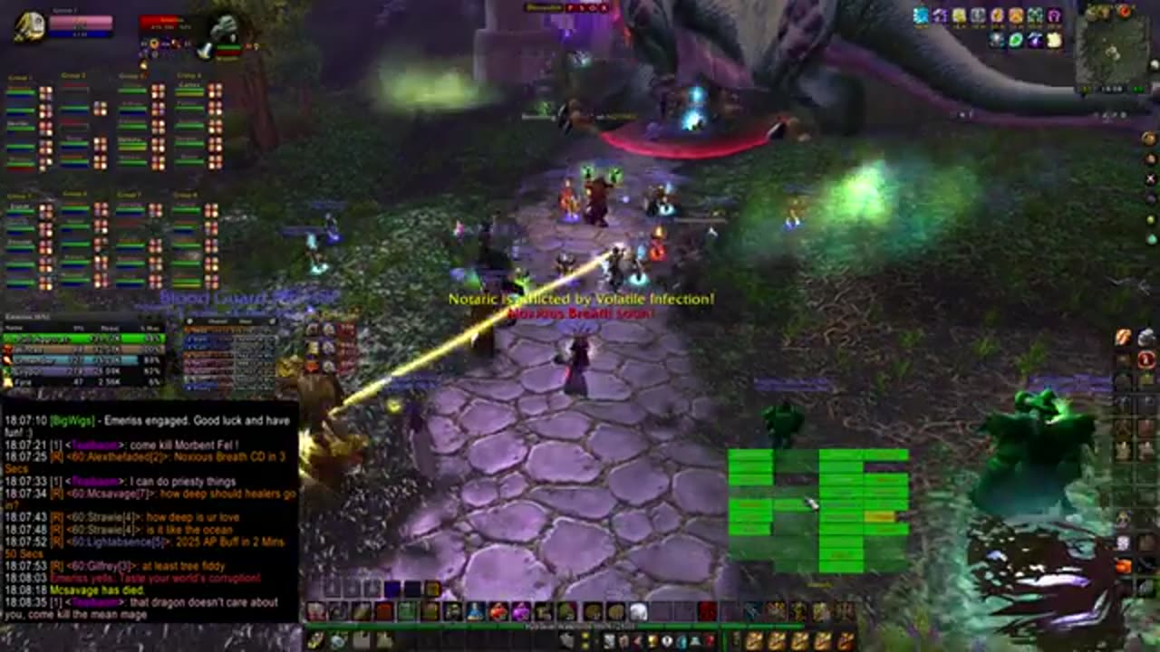 Turtle wow - PUG Dragons of nightmare - world bosses - Paladin POV