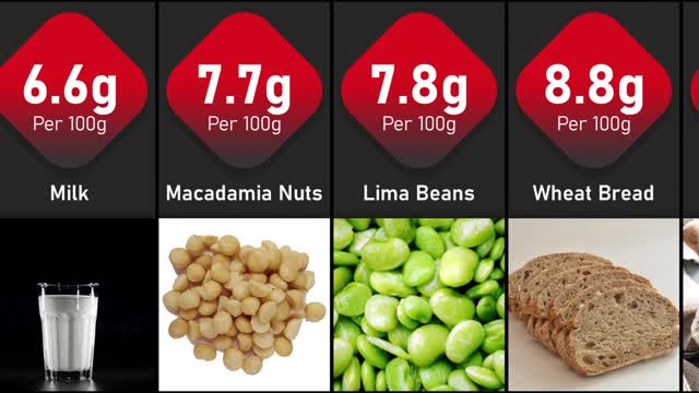 Protein Comparison | Highest Protein foods in world