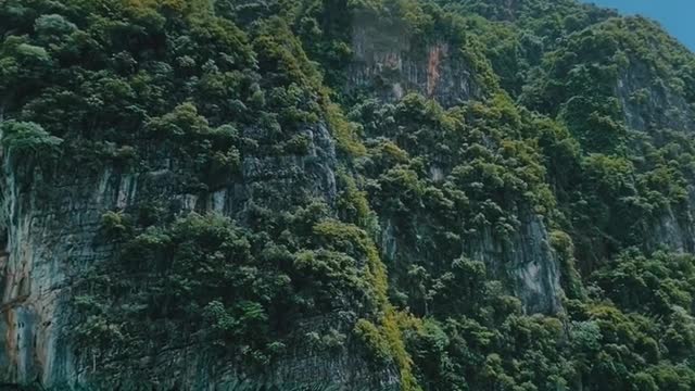 Best nature Connecting People and Nature, Field of Dreams