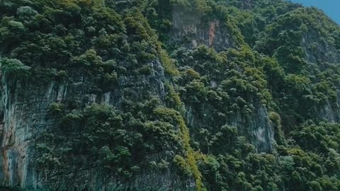 Best nature Connecting People and Nature, Field of Dreams