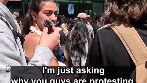 Really, why are they protesting?