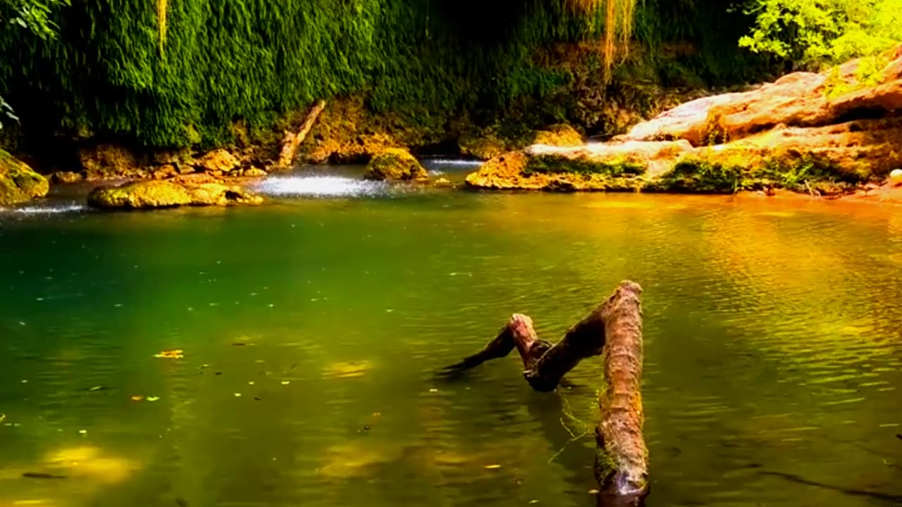 Relaxing Nature and relaxing Music || Nature Discovery........#nature #relax #relaxing #shortvideo