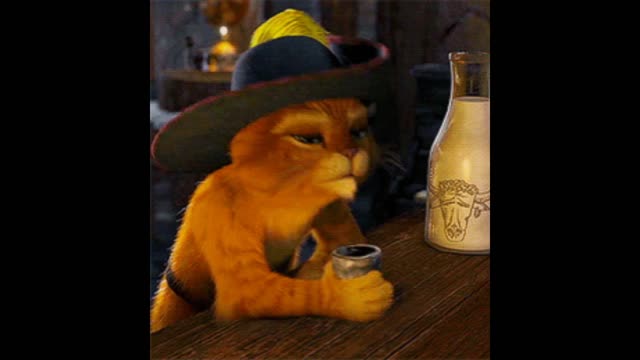 Gif video of cat having a drink