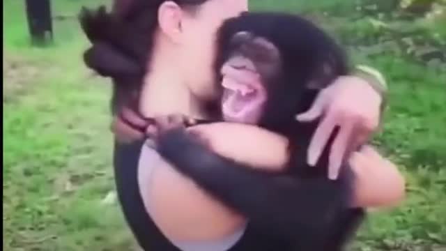 Love of this monkey and his love that tender
