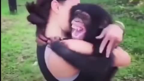 Love of this monkey and his love that tender