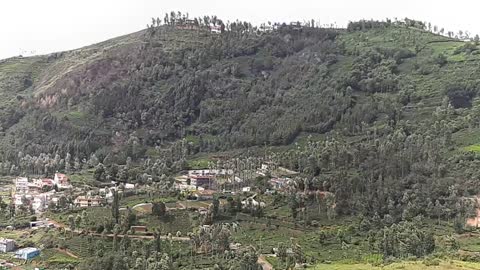 Ooty nature