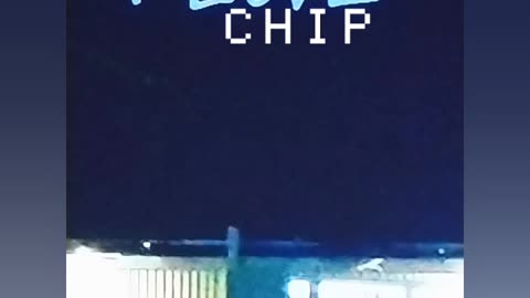 I LivE - Chip